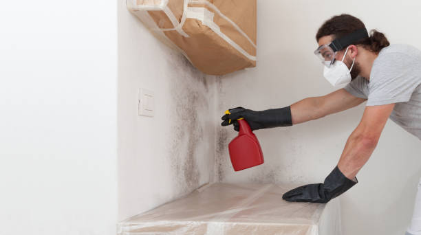 Professional Mold Testing technician working in Lancaster, VA