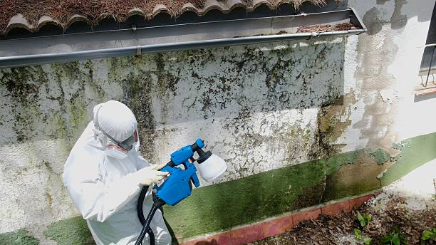 Top rated local Basement Mold Removal specialists in Lancaster, VA